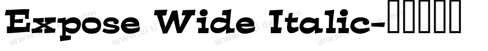 Expose Wide Italic字体转换